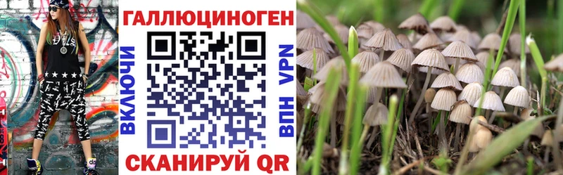 ОМГ ОМГ ссылка  Вяземский  Псилоцибиновые грибы GOLDEN TEACHER 
